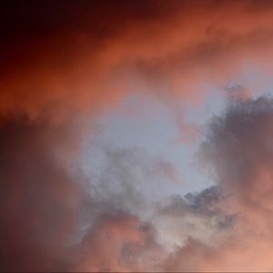 Meet your Posher, Bree